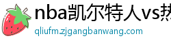 nba凯尔特人vs热火